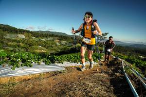 BIB: 
                            <button type="button" onclick="openModal(19122037)" class="btn btn-primary btn-sm float-right btn-popup" data-toggle="modal" data-target=".modal-high-quality">
                        <i class="fas fa-shopping-cart"></i> Add to Cart
                    </button>
                                            <button type="button" onclick="isThisMe(19122037, true)" class="btn btn-success btn-sm float-right btn-popup btn-isme hidden" data-toggle="tooltip" data-placement="bottom" title="นี่คือรูปของคุณใช่ไหม คลิกที่นี่เพื่อเอาเข้าอัลบั้ม">
                        <i class="fas fa-plus"></i> Add to album
                    </button>
                    <button type="button" onclick="isThisMe(19122037, false)" class="btn btn-warning btn-sm float-right btn-popup btn-isnotme hidden">
                        <i class="fas fa-ban"></i> Remove from album
                    </button>